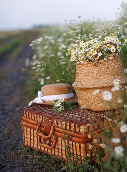 Старый чемодан