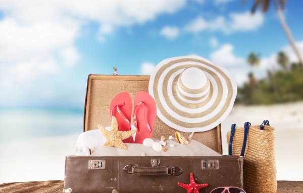 Чемодан путешественника