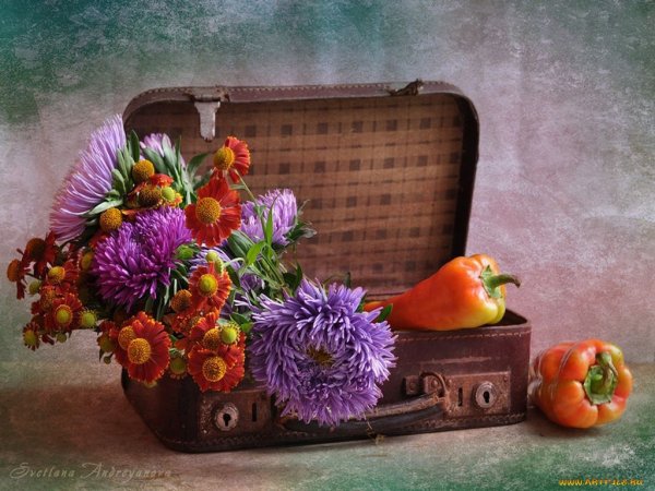 Натюрморт с чемоданом