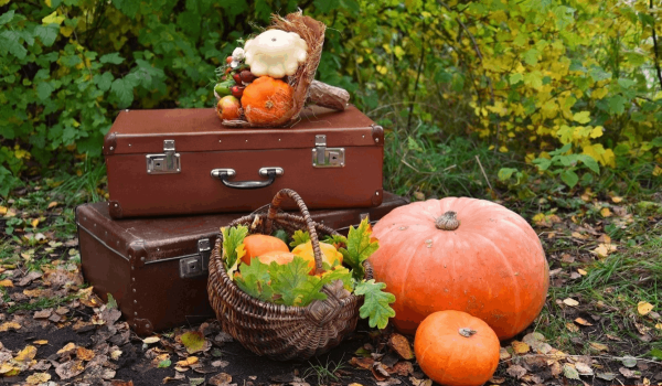 Чемодан красивый