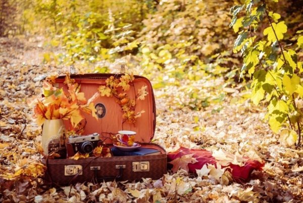 Атрибуты путешествия