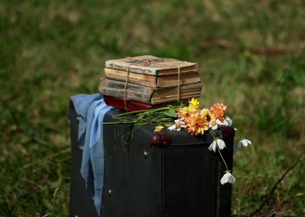 Чемодан воспоминаний