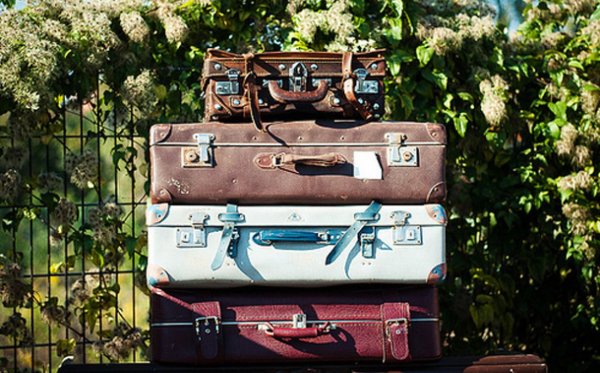 Цветник в чемодане