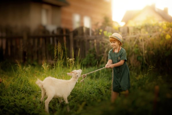 Лето в деревне дети