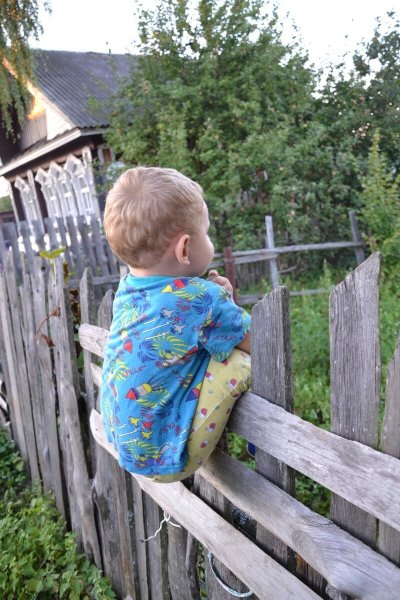 Малыши. В деревне