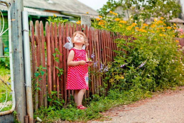 Летом у бабушки лето