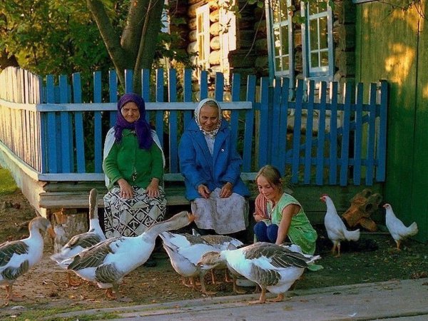 Летом в деревне у бабушки