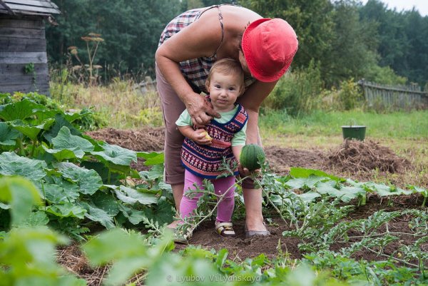 Лето у бабушки в деревне