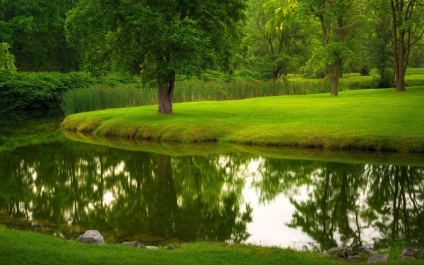 Заставка на рабочий стол природа