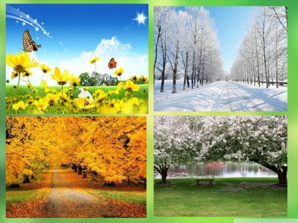 Времена года зима Весна лето осень