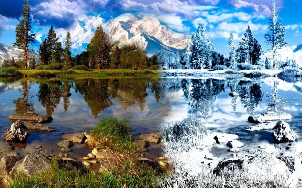 Разные времена года