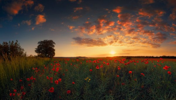 Летний закат