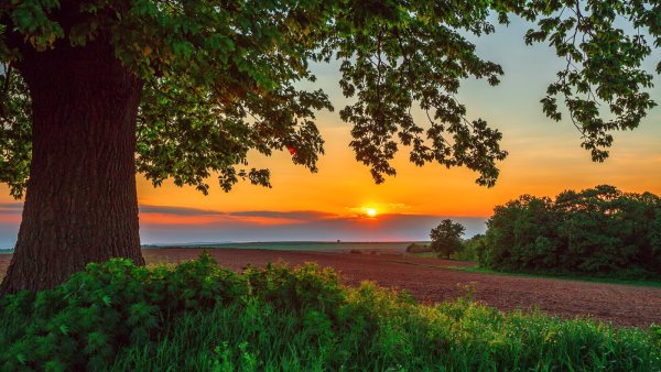 Летний закат