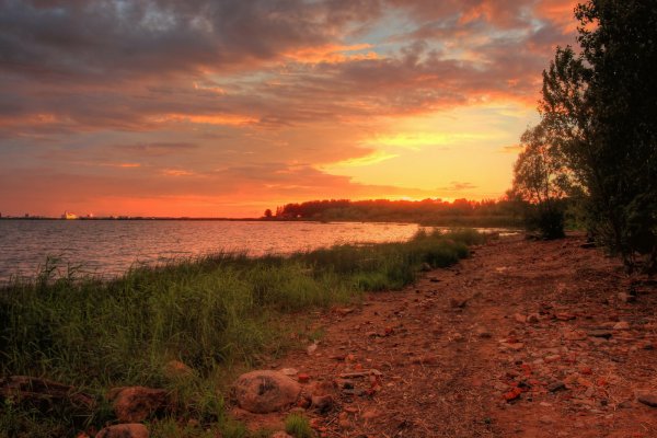Лесостепь закат