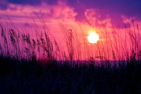 Красный закат летом