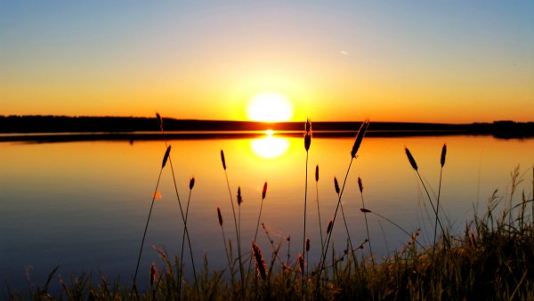 Красивого летнего вечера