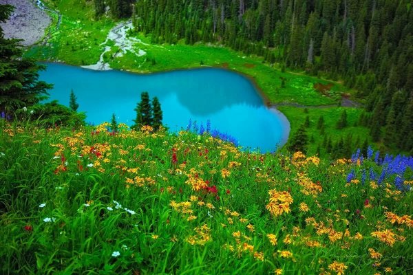 Природа Южного Урала Солнечная Поляна