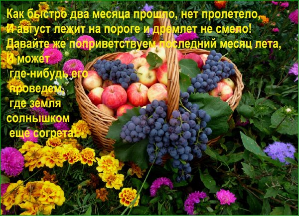 Открыточки с Августом