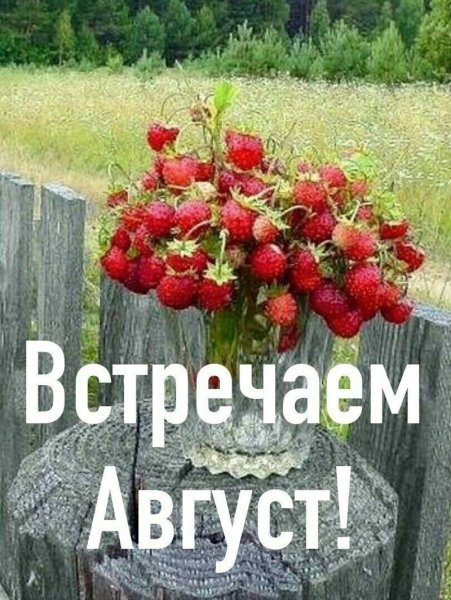 Доброе утро вот и пагуст