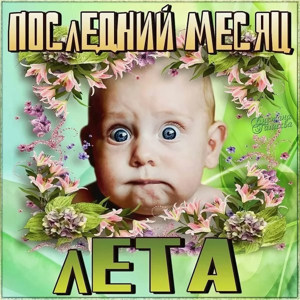 Открытки с 1 августа