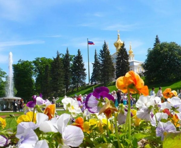 Летний день в городе