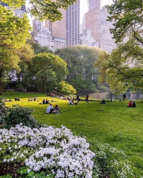 Гайден парк Нью-Йорк
