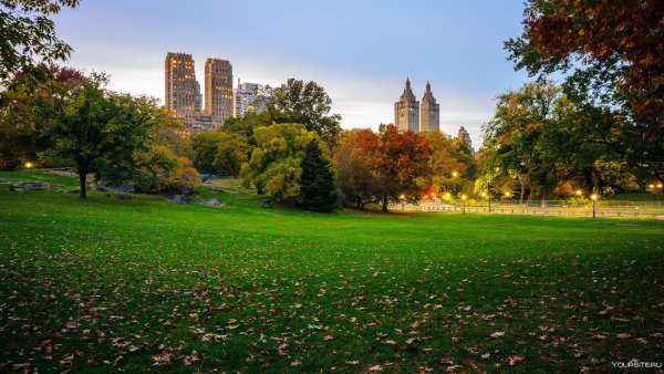 Центральный парк, Нью Йорк, США