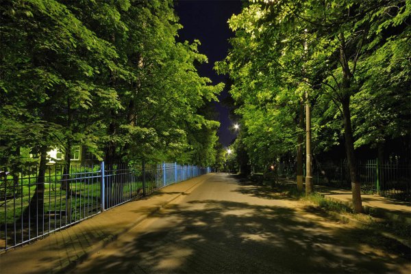 Летний парк в городе