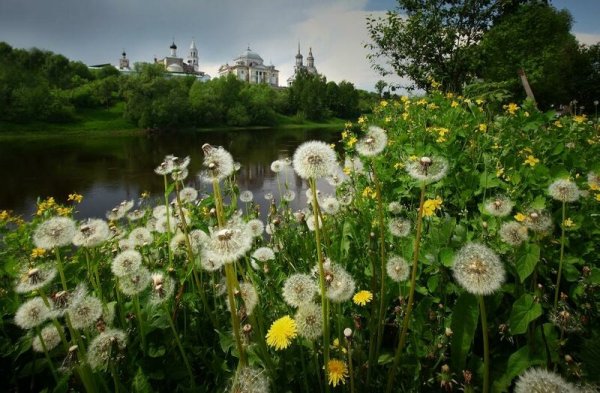 Лето сверкают пиророда