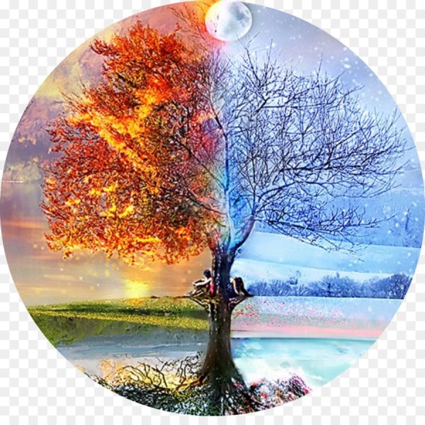 Окружающий мир времена года