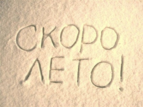 До лета 20 дней