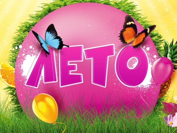 Лето с пользой