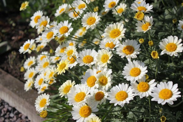 Крепитесь люди скоро лето