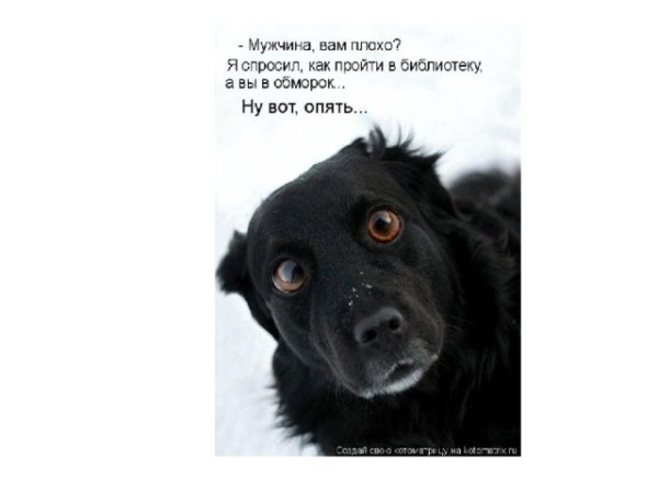 Зимние приколы с надписями