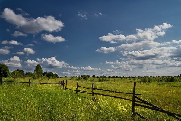Село летом