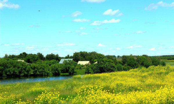 Деревенская природа