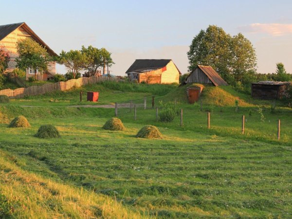 Жаркое лето в деревне