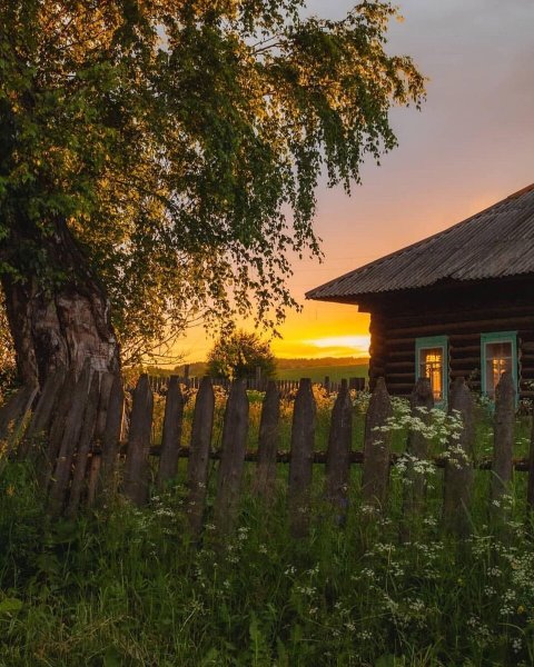 Летний деревенский пейзаж Наталья Шайкина
