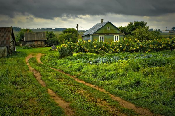 Сельский пейзаж