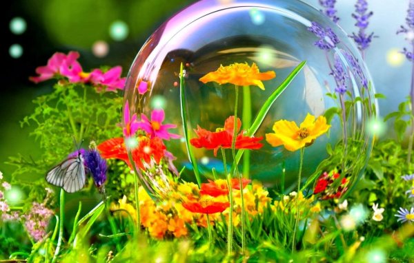 Моменты лета фото