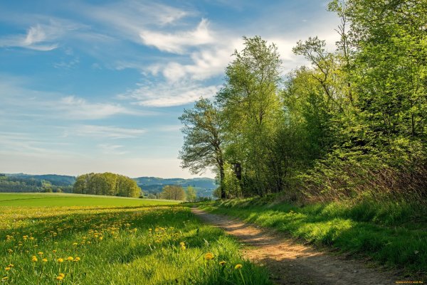 Пейзаж лето