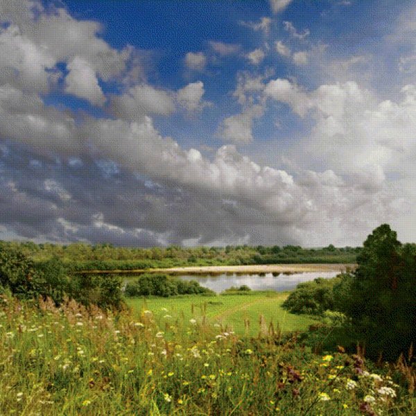 Урочище Золотая Поляна Рязанская область