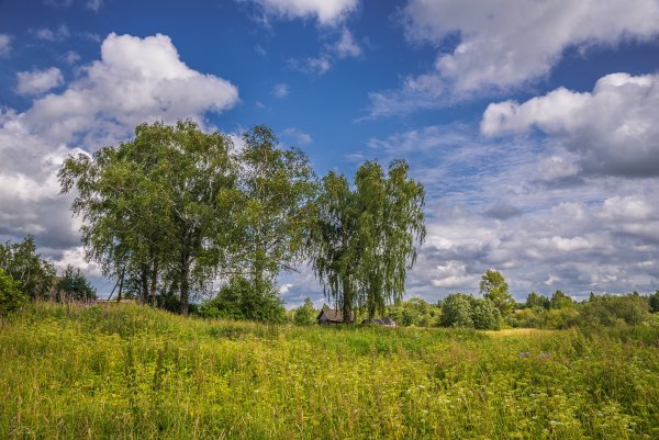 Лето в деревне