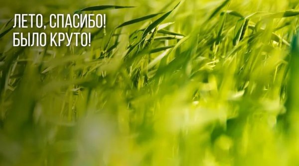 Спасибо лето было круто