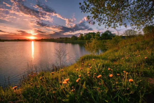 Лето вечер природа