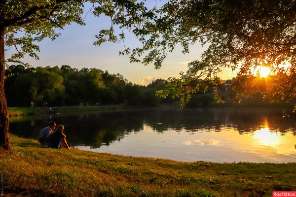 Летний вечер на природе