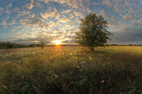 Теплого летнего вечера
