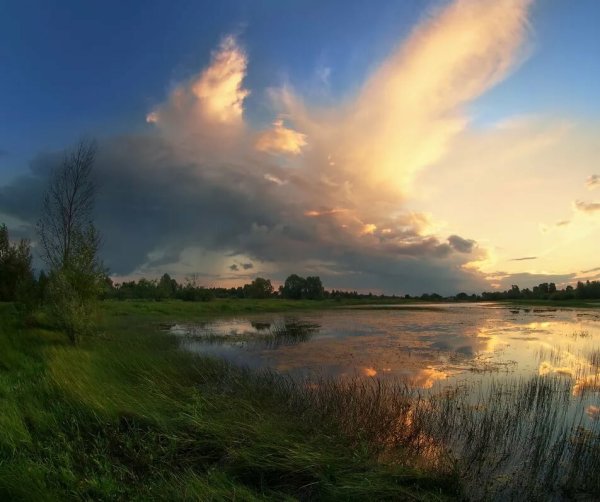 Ранний вечер