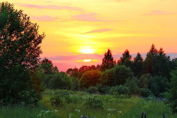 Летний вечер на природе
