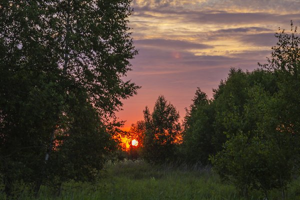 Лето поле вечер